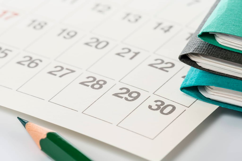 Congés scolaires : calendrier et impact sur le rythme des élèves