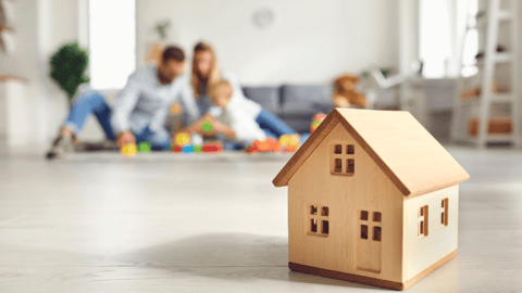 Sécuriser votre maison : stratégies familiales de dératisation pour un environnement sans rongeurs