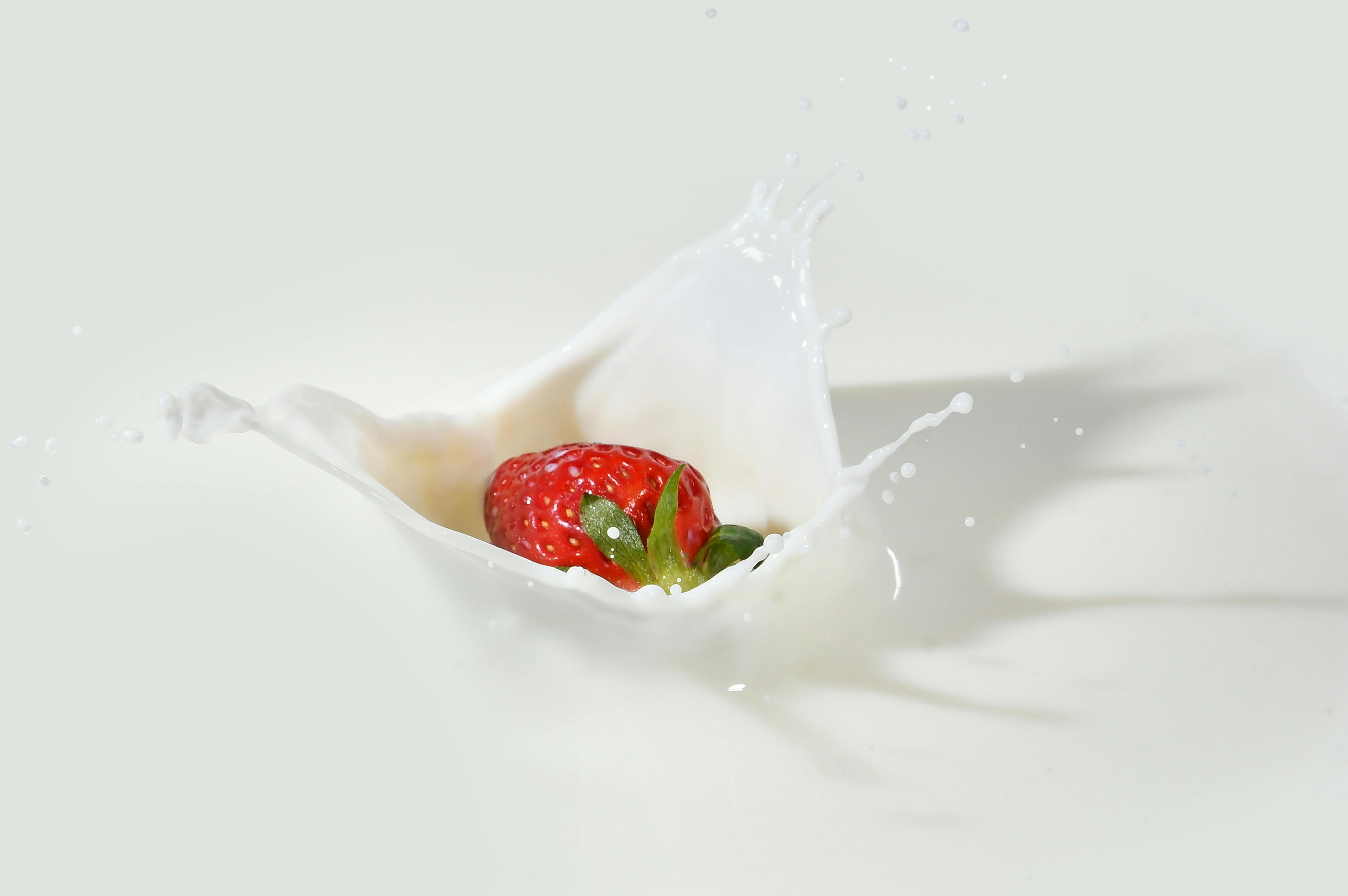 1-alimentation-allaitement